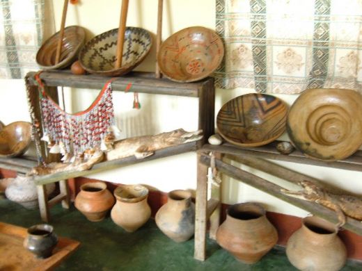 /Archivos/Fotos/27/Jaen-Selva/chir 4.JPG